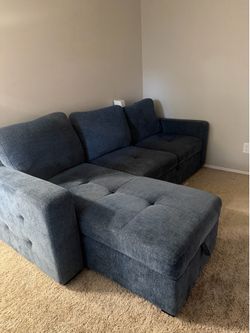 Pull out Sectional couch