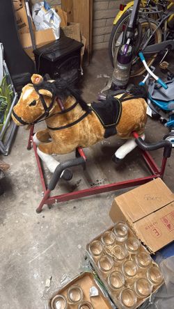 Kids Riding Horse