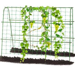 Garden Cucumber Trellis for Climbing Plants, 63x48inch U Frame Metal Arch Garden Trellis Climbing Plants Support Grape Vines Tomato Vegetable Cucumber