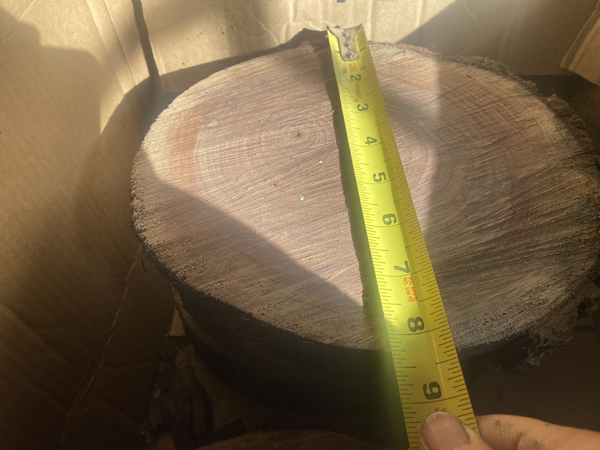 Centerpiece Wood Slices Slab 9-10inch