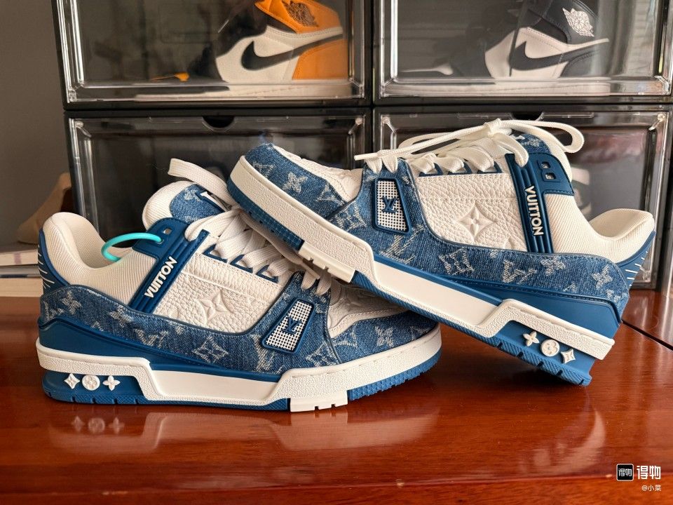 LOUIS VUITTON Trainer NIKE