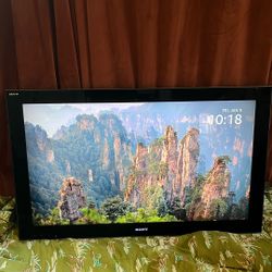 46” Full HD 1080p Sony Bravia TV