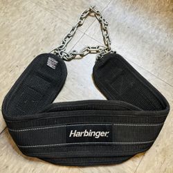 Gym Kit: Weight Dip Belt, Blender Bottle & 2 Locks
