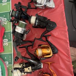 Fishing Reels