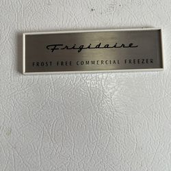 Frigidaire industrial Freezer