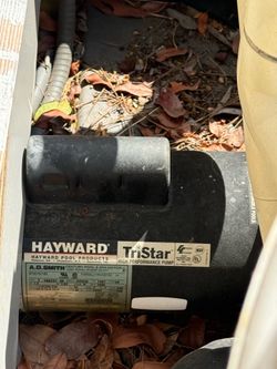 Pool Pump -HAYWARD 1.5HP