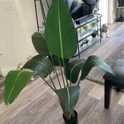 Pretty Artificial Plant 4 Ft Tall! Brand New