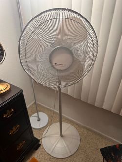 White fan