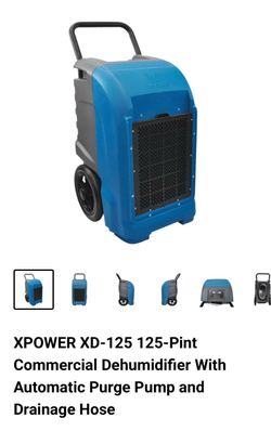 XPOWER XD-125 125-Pint Commercial Dehumidifier With Automatic Purge Pump and Drainage Hose