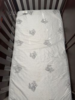 Crib