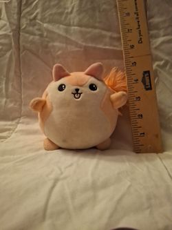 Clementine the squirrel