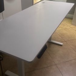 Stand Up Desk 