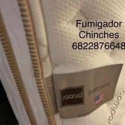 Pest Control/ Control De Plagas / Fumigador/ Exterminador/ Ratas Cucarachas Chiripas Pulgas Garrapatas Chinches Y Hormigas 