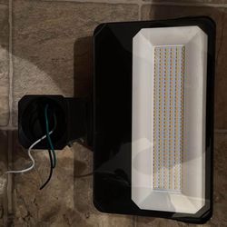 Flood Light 