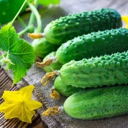 Cucumbers Ekol F1 10 Seeds free delivery to your home