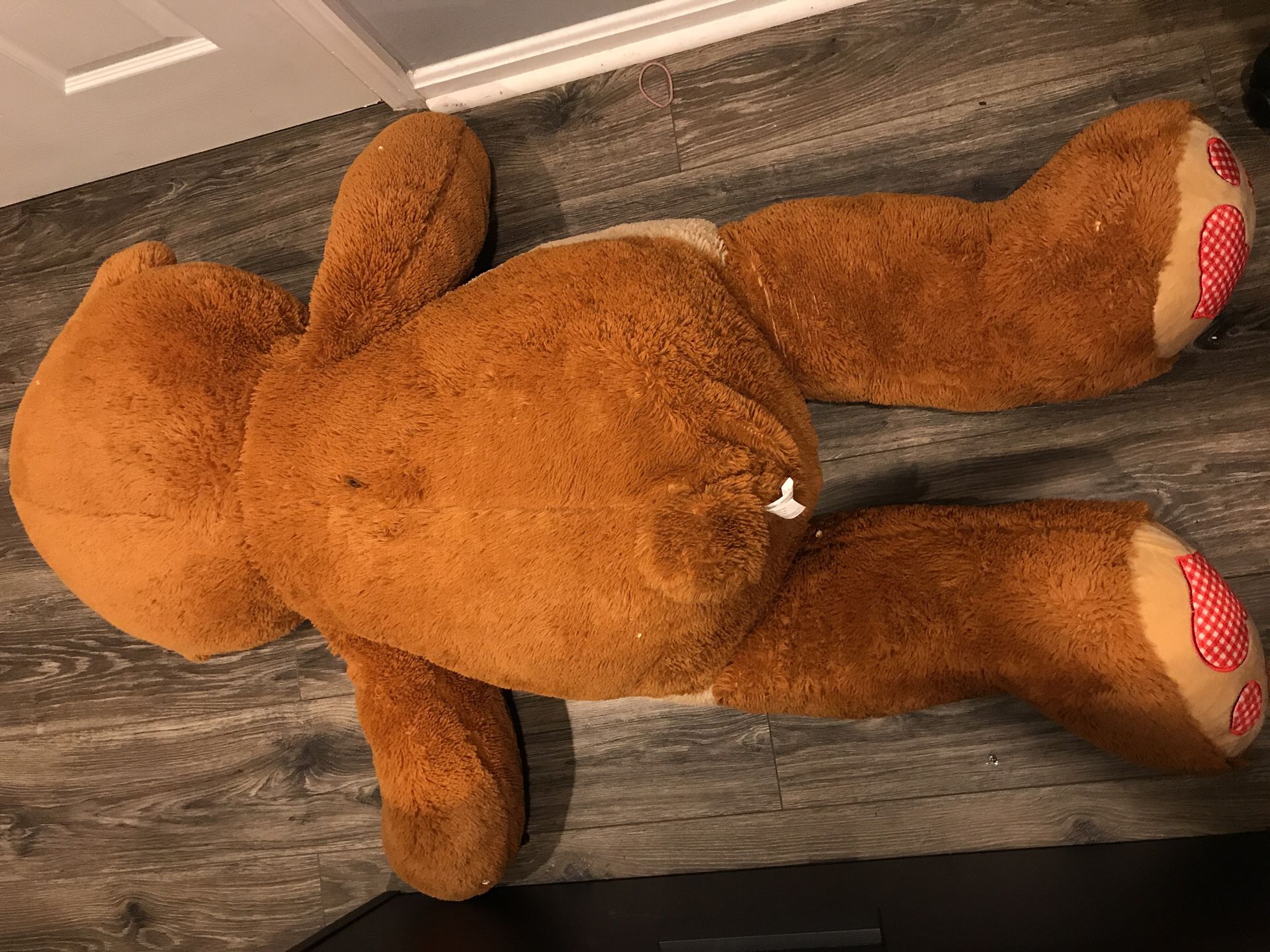 HUGE TEDDDY BEAR