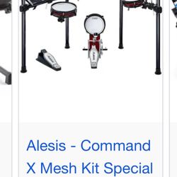 Alesis Drum Set