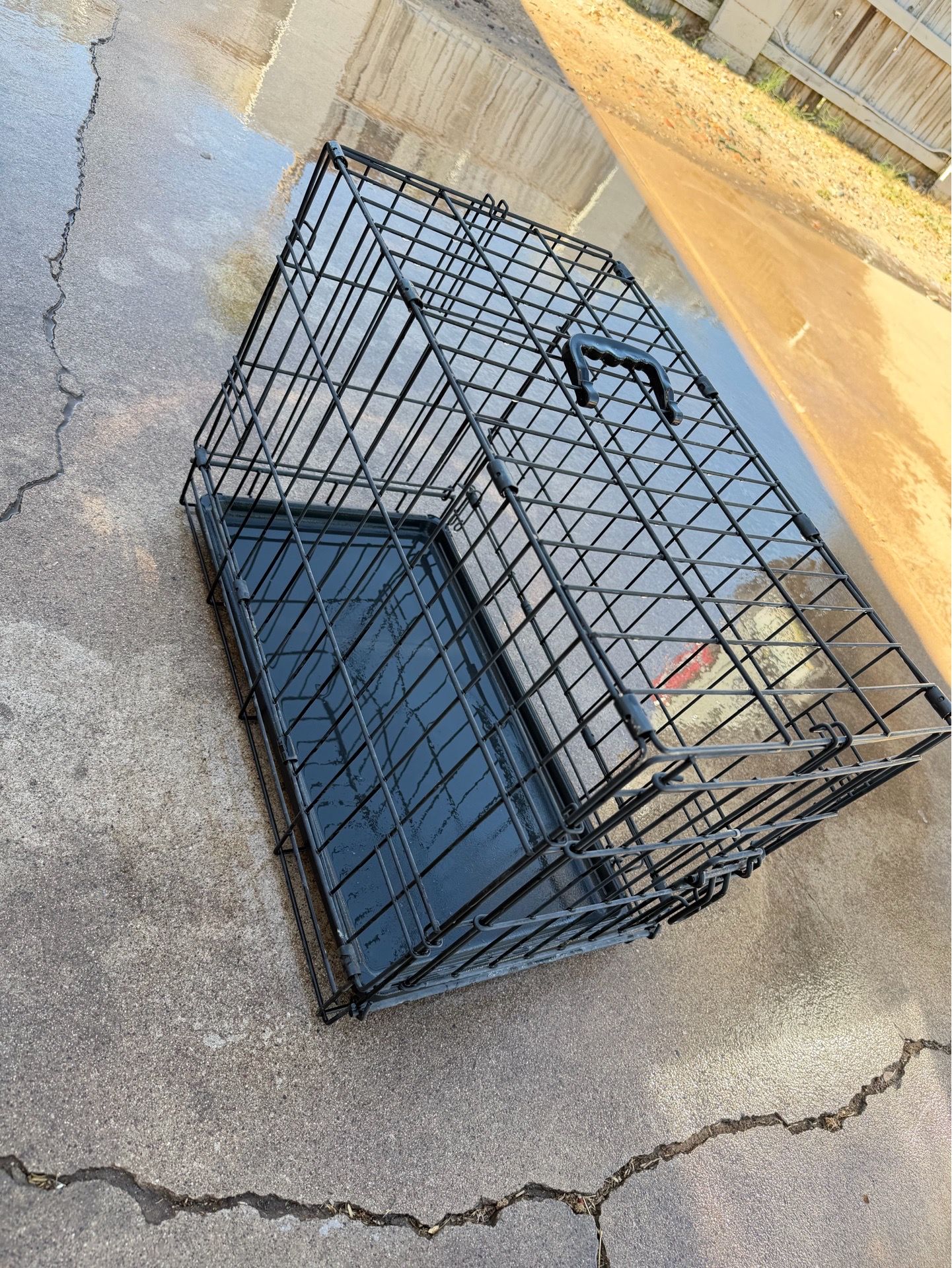 Small for dog or cat