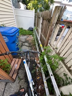 Werner Extension ladder