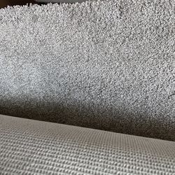 Light Grey Carpet 
