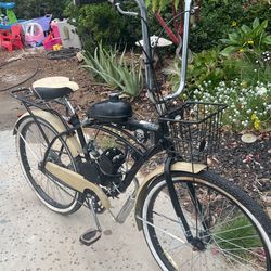 Gas Bike / Beach Cruiser