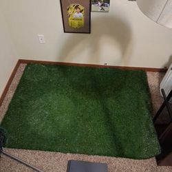 Artificial Grass