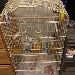 Bird Cage