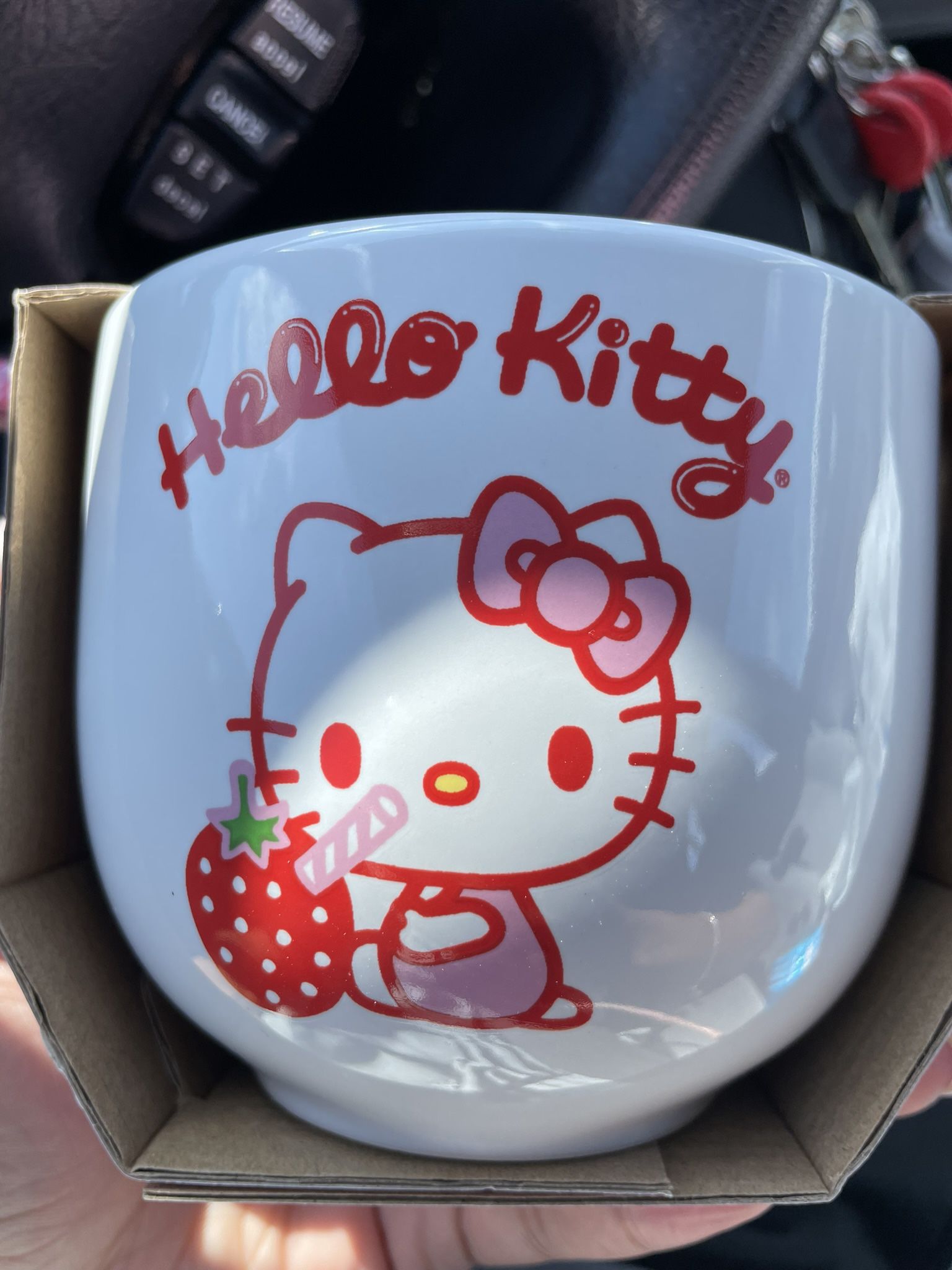 Hello Kitty Bowl and Chopsticks Set