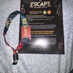 ESCAPE FESTIVAL TICKET 