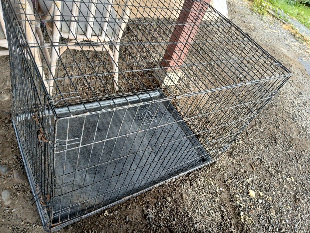 Large Dog Kennel