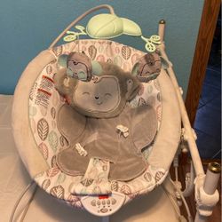 Baby Bouncer