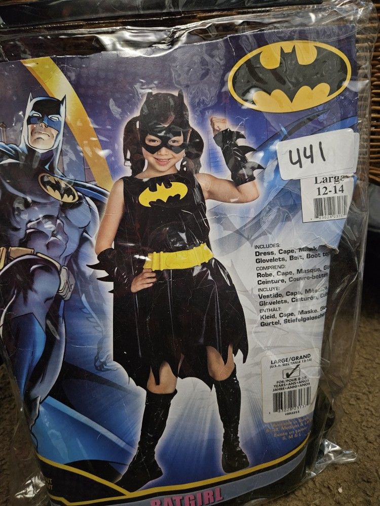 Batgirl Costume