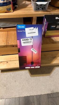 Govee Floor Lamp 2