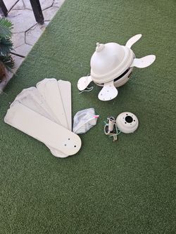 Fan
