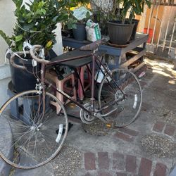  Centurion LeMans 10 Speed Bike Bicycle