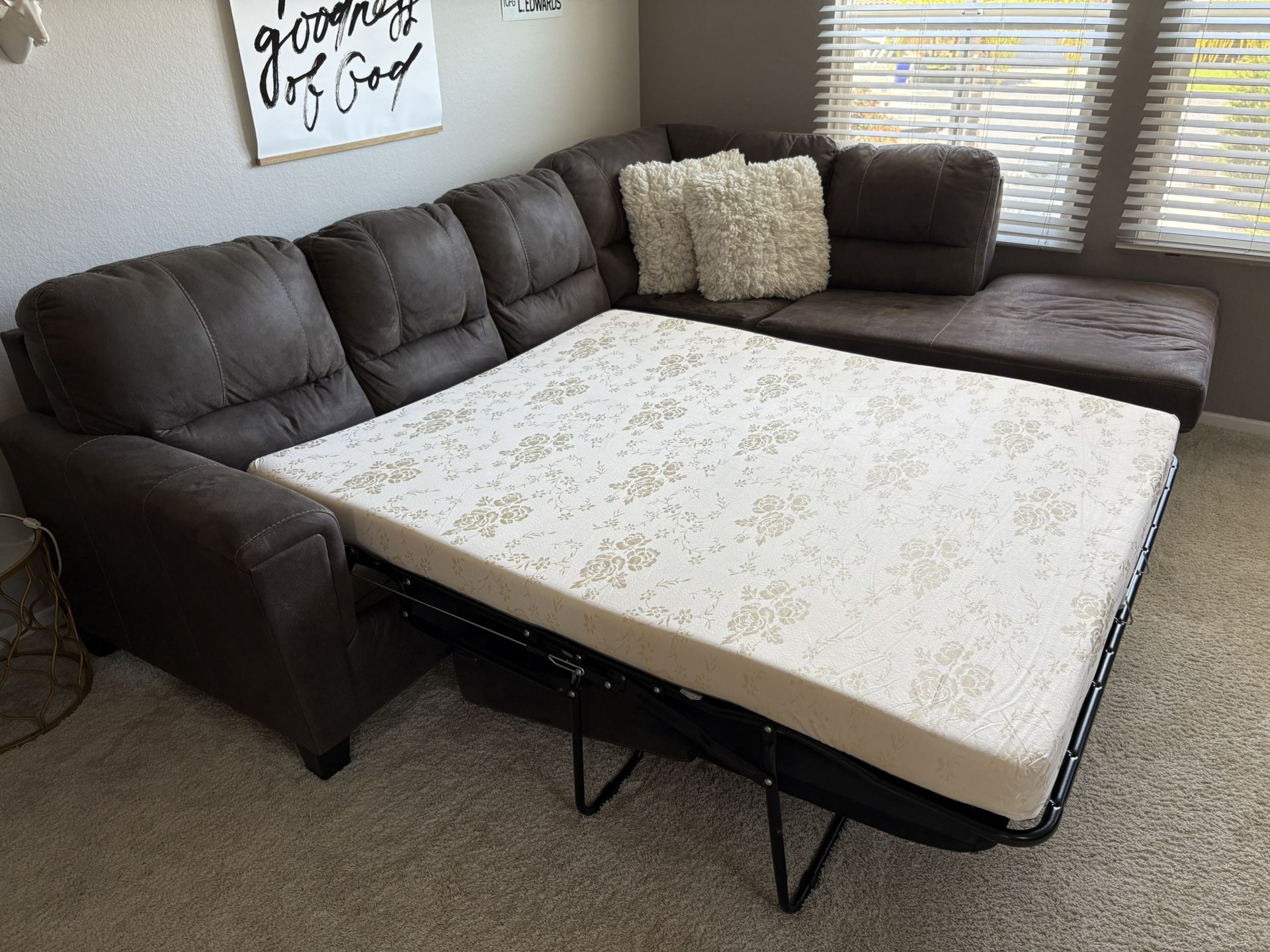 Sleeper Sofa Sectional Couch