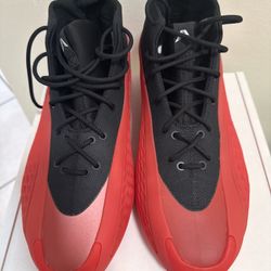 Adidas ae1 Gerorgia Bulldog Size 13 