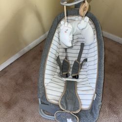 Baby Bouncer