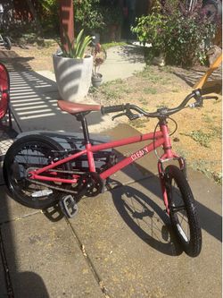 Cleary Hedgehog 16" Kids Bike