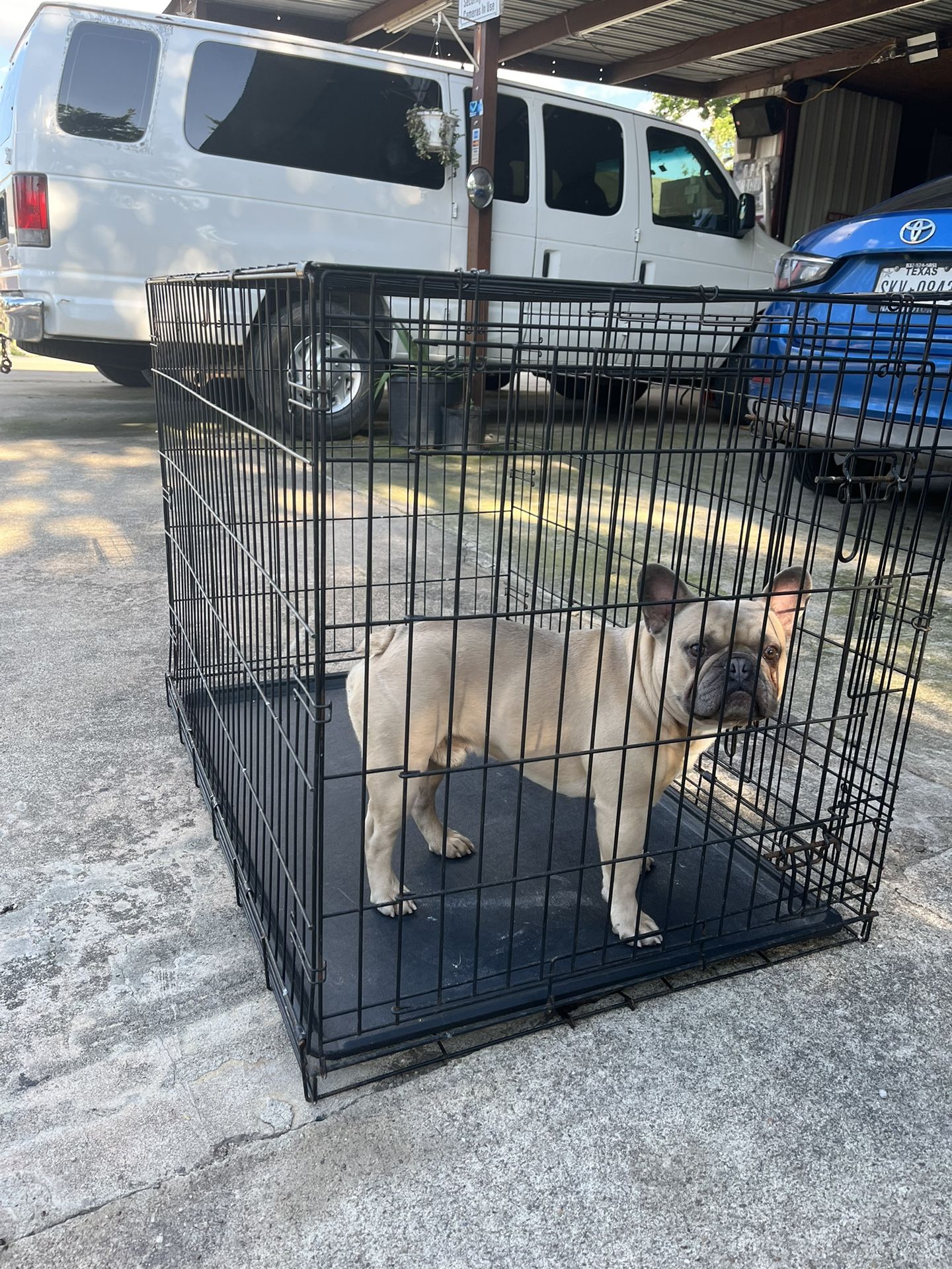 Dog Cage