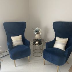 2 Inspire Me Home Decor Velvet Chairs
