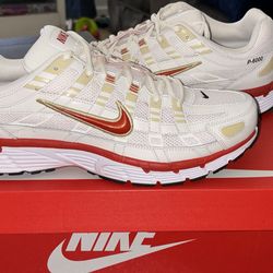 Nike P-6000