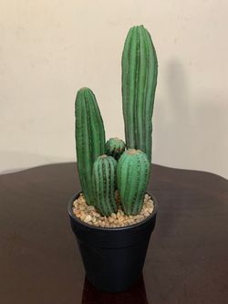 Artificial Potted Green Pillar Cactus - 11”