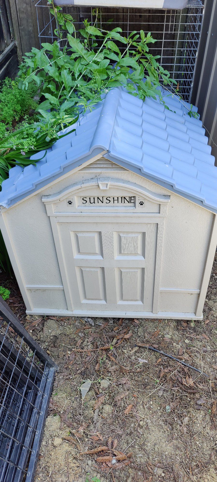 Sunshine Outdoor Dog House