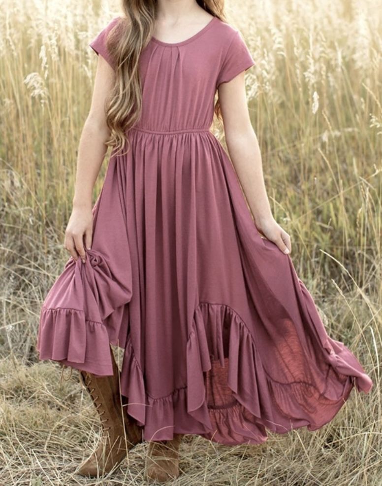 Joyfolie Braelyn Dress in Mesa Rose Size 5