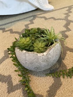 Mini succulent faux decor