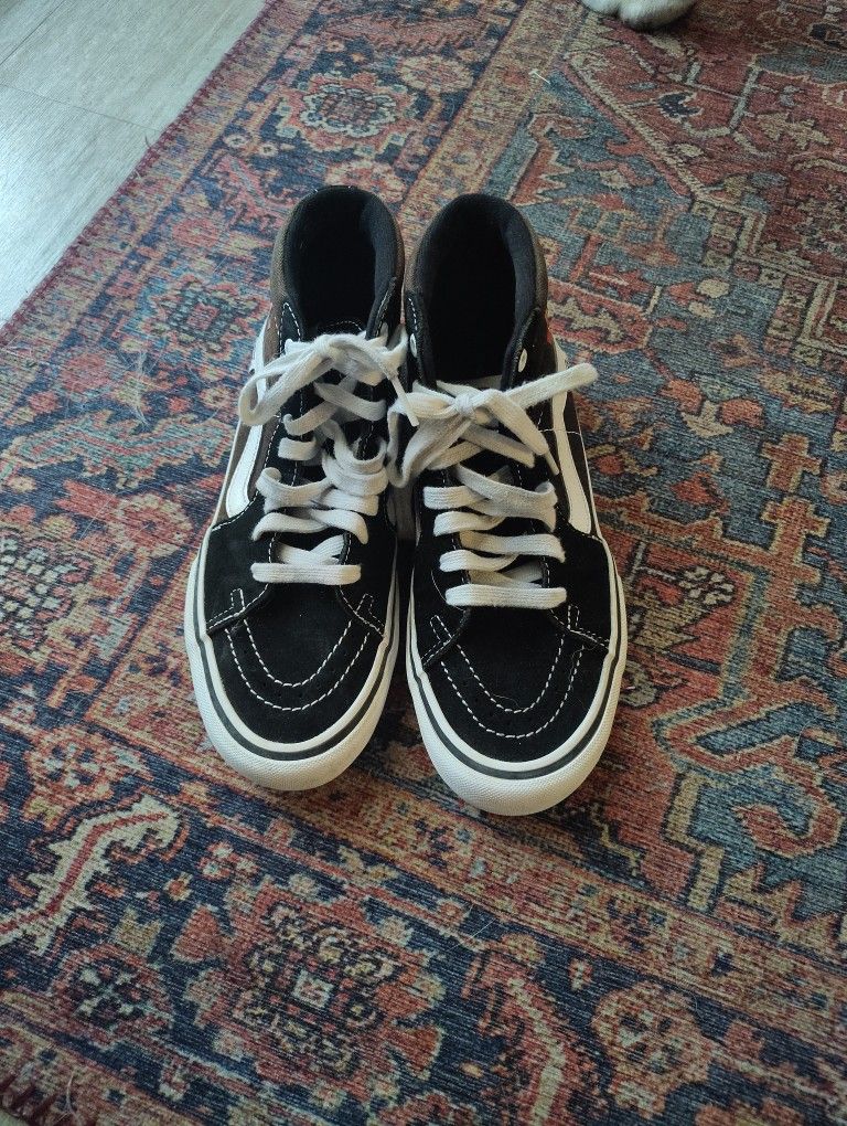 Vans Skateboard Shoes