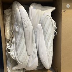 Adidas’s Zz