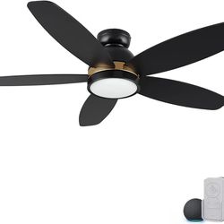 CEME 48" Smart Ceiling Fan with Lights, DC 10 Speeds Reversible Outdoor Ceiling Fan with Remote,