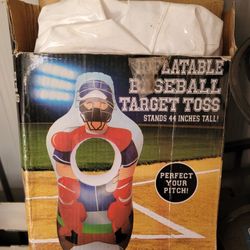 Baseball Target
